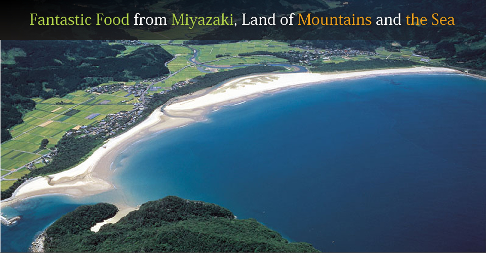 Fantastic Food from Miyazaki, Land of Mountains and the Sea