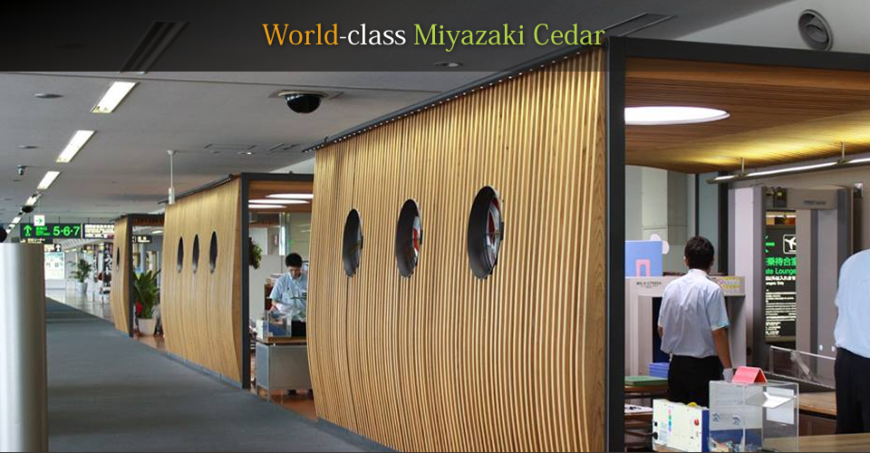 World-class Miyazaki Cedar