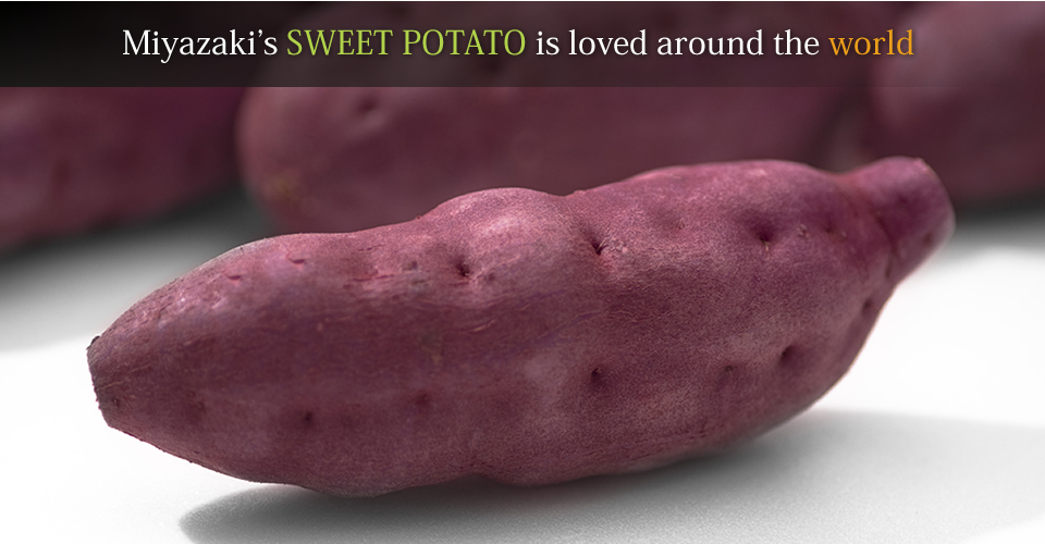 Miyazaki’s SWEET POTATO is loved around the world