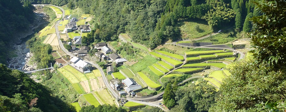 世界農業遺產