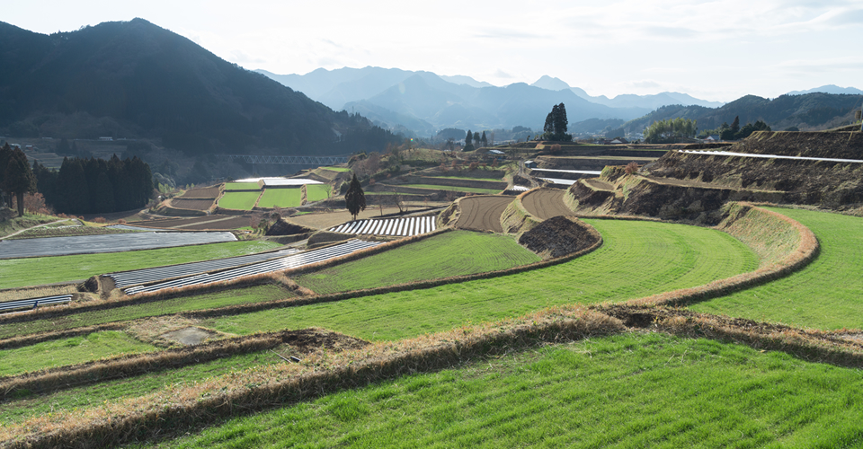 世界農業遺產