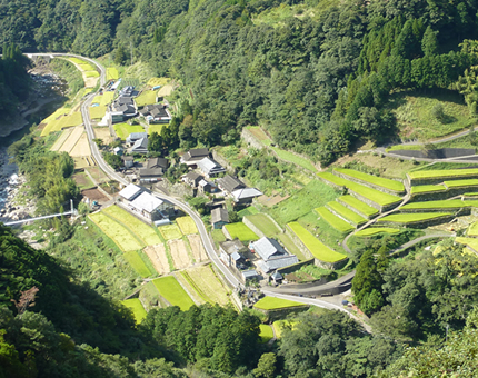 「世界農業遺產」建設永續生存的村莊