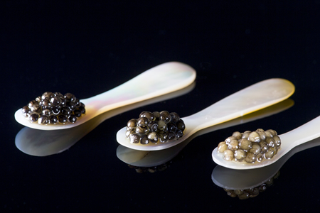 Miyazaki Caviar