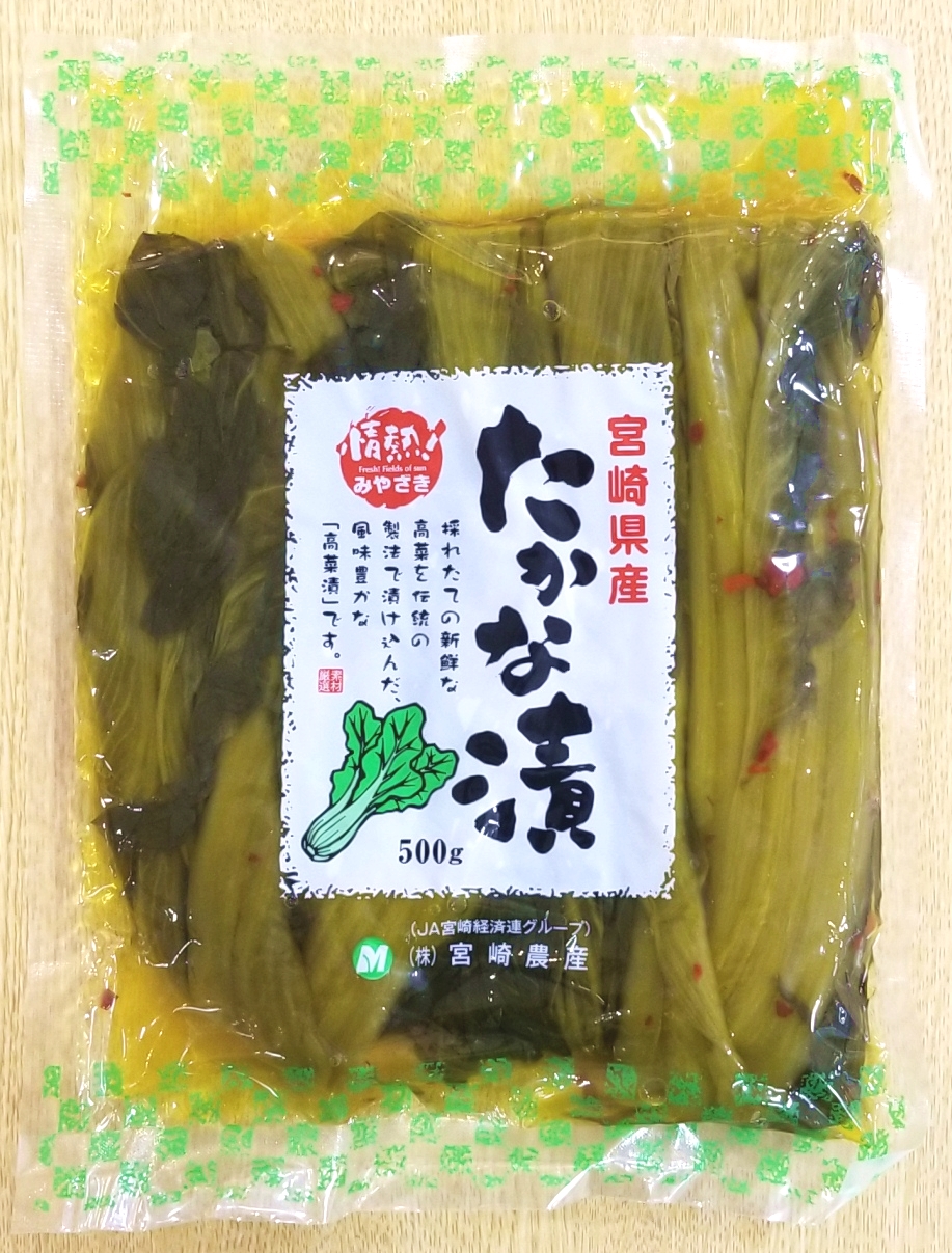 宮崎県産 高菜  20kg